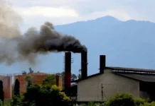 Kabut Asap Karhutla Mengancam, Bupati Siak Minta PKS Setop Bakar Janjang Kosong