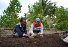 Pokmas Alam Tani Binaan Pertamina Patra Niaga Kilang Dumai Tanam Bibit Robusta