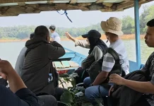 Kolaborasi Jaga Alam di PLTA Koto Panjang, Aren Jadi Pilihan untuk Pulihkan Kawasan