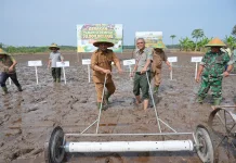 Kabupaten Siak Terima Program Penanaman 70.000 Hektare