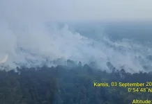 Patroli Udara, BPBD Riau Temukan Satu Titik Api di Meranti