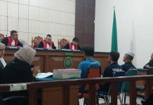 Koalisi untuk Gajah Pelalawan Desak Keseriusan Sidang Kasus Gajah Pelalawan