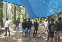 Polisi Tangkap Sembilan Pelaku Penyerangan Warga di Kebun Sawit Rohul