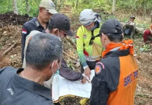 Tinjau Karhutla Gemala Sari, Sekda Sudandri Ikut Bantu Pemadaman