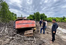 Polda Riau Tetapkan Tersangka Kasus Perambahan 111,77 Hektare Mangrove di Dumai