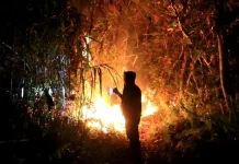 Karhutla Baru Muncul di Tembilahan
