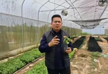 P4S Pemuri Pekanbaru Berikan Contoh Kolaborasi Pertanian Terintegrasi di Riau