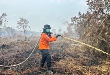 Srikandi Basarnas Pekanbaru Turun Padamkan Karhutla di Dumai