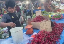 Stok Cabai Terbatas Picu Kenaikan Harga sementara Harga Ayam Mulai Turun