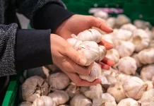Penyebab Bawang Putih Bisa Bikin Napas Beraroma Kuat