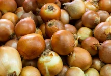Rahasia Rasa Manis Bawang Bombay yang Menggugah Selera