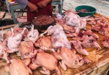 Harga Ayam di Pasar Kodim Pekanbaru Mulai Turun