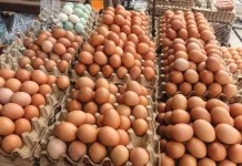Harga Telur di Pasar Kodim Pekanbaru Kembali Naik