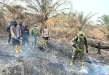 Polda Riau Tangani Kasus Karhutla, 55 Tersangka