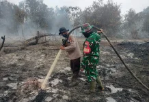 Kabut Asap Siak Dipengaruhi Asap Lintas Wilayah