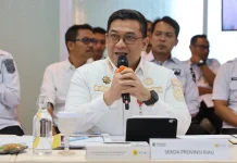 Pemerintah Provinsi Riau Dukung Program Listrik Desa