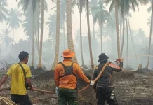 Karhutla Gambut Melanda Dua Desa di Gaung