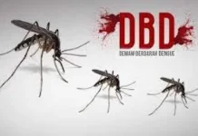 Kasus DBDDi Inhu Capai 235 Kasus
