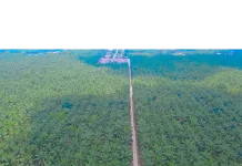 Agrinas Perkuat Pengelolaan Perkebunan dan Serap 10.351 Tenaga Kerja di Riau