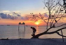 Pantai Viovio, Pesona Bahari di Balik Jembatan Barelang yang Wajib Dikunjungi