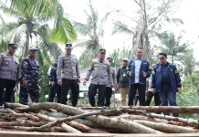 Dapur Arang Mangrove Dibongkar Polda Riau, 140 Ton Barang Bukti Diamankan
