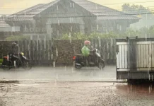 Hujan Diprakirakan Guyur Sebagian Besar Riau Sore hingga Malam Hari