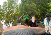 Bangkai Paus 4 Ton Gegerkan Warga Inhil