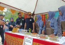 Bupati Asmar Buka Festival Budaya dan Ruang Publik Kementerian Kebudayaan RI