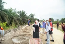 Wabup Kampar Tinjau Pembangunan Jalan Sungai Pagar