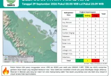 Ribuan Hotspot Terdeteksi di Sumatra, Riau Enam Titik