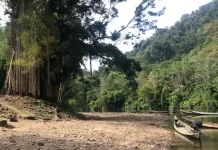 Menjelajahi Keindahan Tersembunyi Desa Ludai Kampar Kiri Hulu