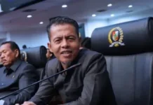 DPRD Pekanbaru Dorong DLHK Lakukan Peremajaan Pohon Pelindung