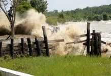 Ombak Bono Teluk Meranti Pesona Wisata Ekstrem dan Fenomena Alam Menakjubkan