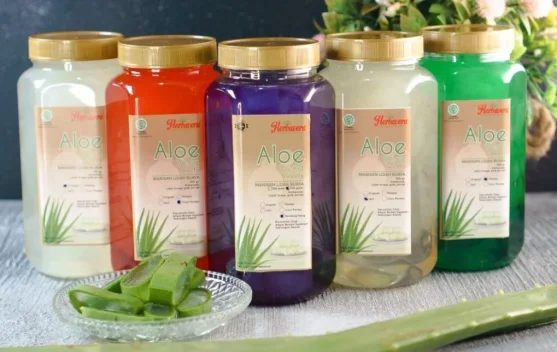Peluang Bisnis Produk Kesehatan Lidah Buaya Ide dan Inspirasi