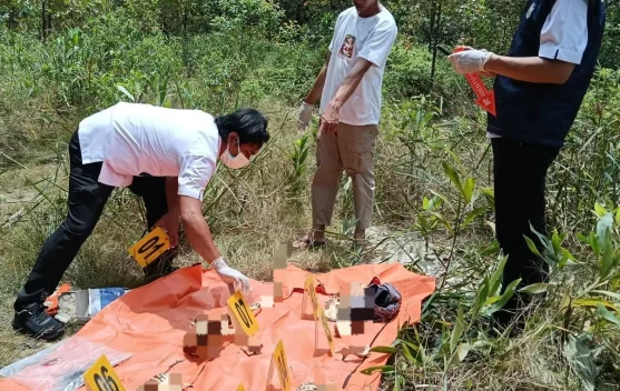 Kerangka Manusia Ditemukan di Areal PT RAPP, Polisi Lakukan Penyelidikan