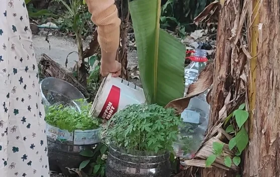 Hilangkan Stres dengan Cara Berkebun