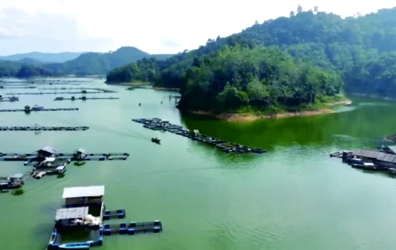 Pesona Wisata Keramba di Waduk PLTA Koto Panjang