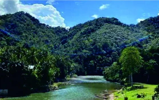 Keindahan Alam Tanjung Belit Kampar Kiri Hulu yang Asri