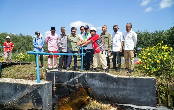 KLH/BPLH Dorong Kolaborasi Berbagi Air untuk Cegah Kebakaran di Lahan Gambut