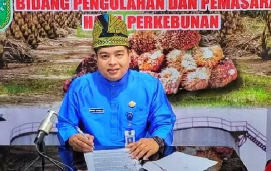 Harga TBS Sawit Mitra Plasma di Riau Pekan Ini Anjlok