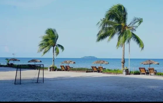 Pulau Pangkil Keindahan Alami, Budaya Melayu, dan Liburan Tenang di Teluk Bintan