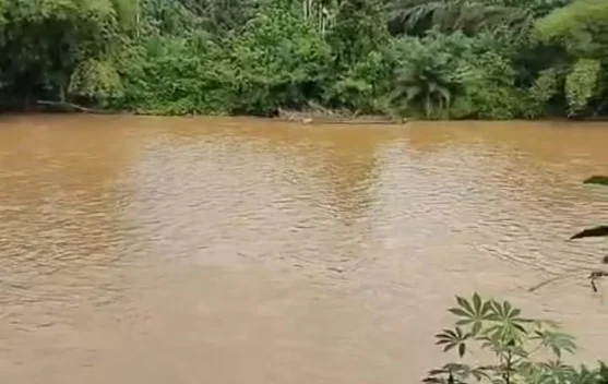 Sejumlah Sungai di Riau Tercemar: Ancam Kesehatan Warga dan Kerusakan Lingkungan