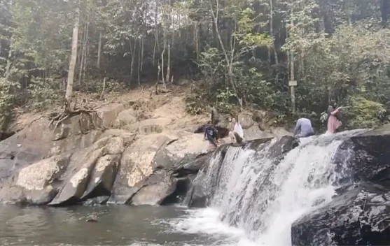 Air Terjun Nginio Kampar Keindahan Alam di tengah Hutan Alami