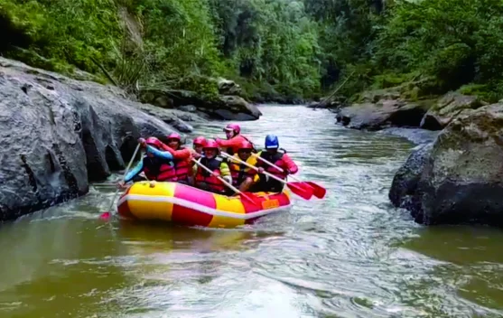 Sensasi Arung Jeram di tengah Keindahan Alam Riau