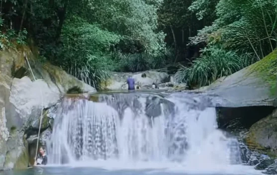 Air Terjun Lubuk Nginio, Permata Tersembunyi Ditengah Hutan Kampar