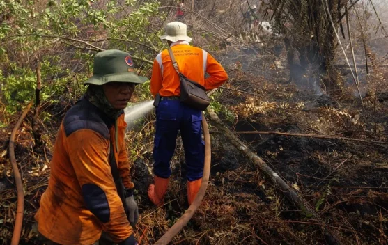 Karhutla Kerumutan Meluas, Ratusan Personel Dikerahkan untuk Jinakkan Api