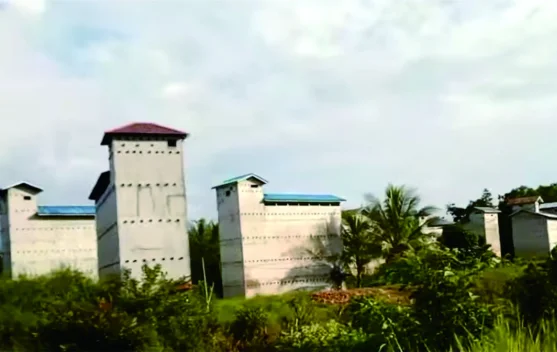 Potensi Usaha Kampung Walet di Desa Teluk Meranti Pelalawan