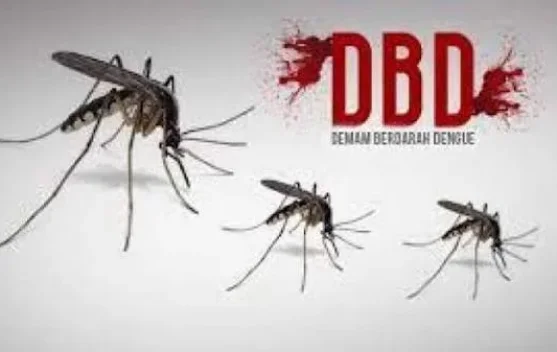Kasus DBDDi Inhu Capai 235 Kasus
