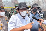 Menteri LH Ungkap 335 Konsesi Terindikasi Karhutla, Luas Terbakar 85 Ribu Hektare