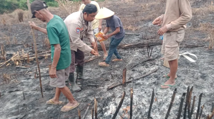 Polsek Jelai Hulu Gelar Penanaman Lahan Jagung Hibrida